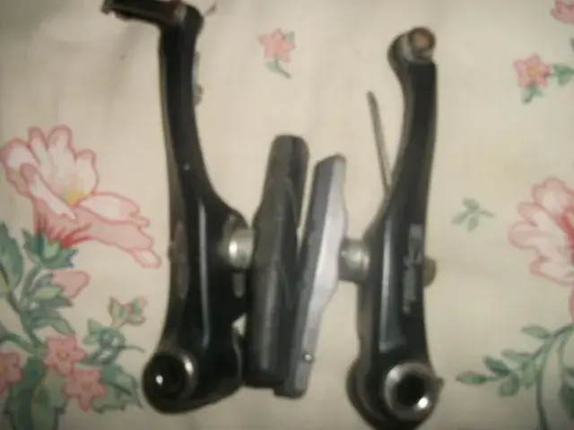 DSCF2363.webp