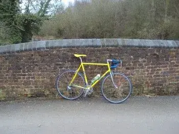 masi r1.webp