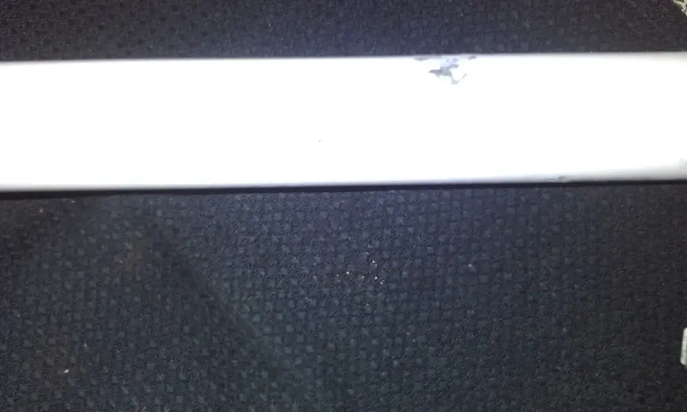 IMAG0211.webp