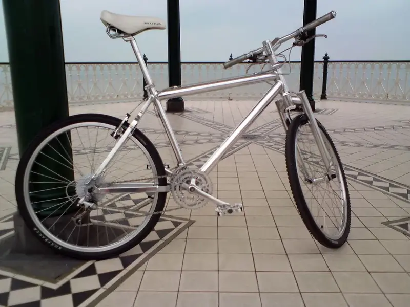 shiny-bike-wee.webp