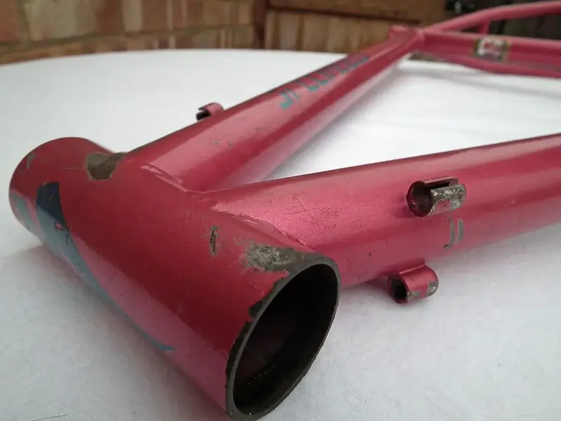 DSCF4814.webp