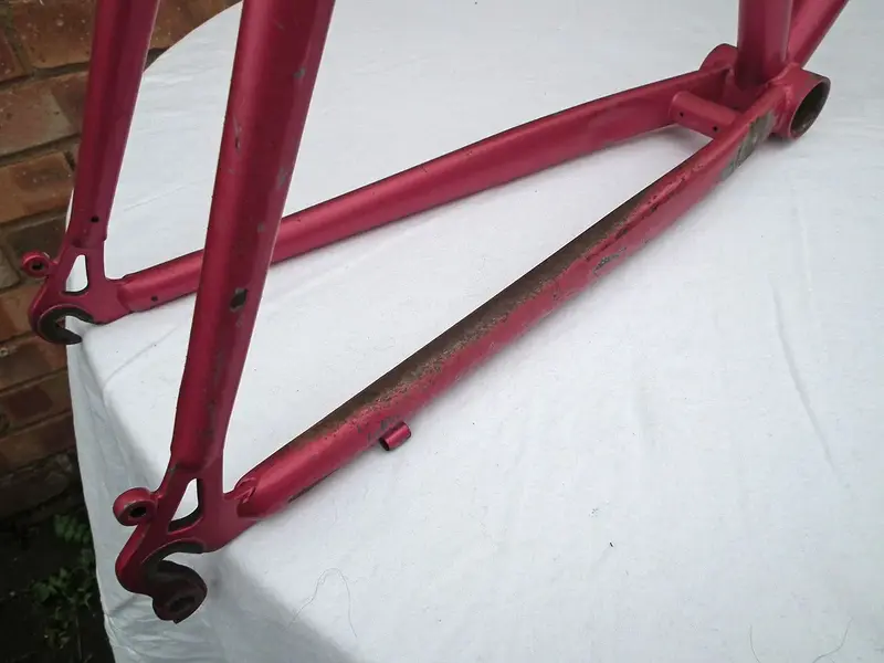 DSCF4824.webp