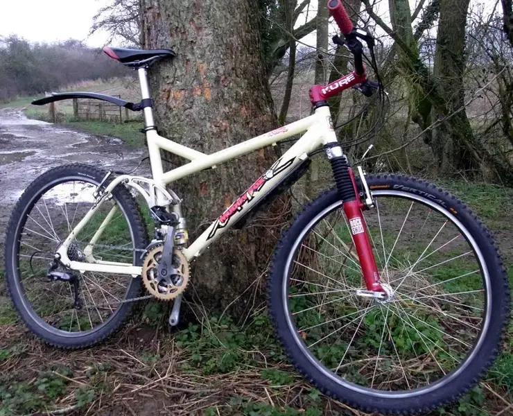 bike email.webp
