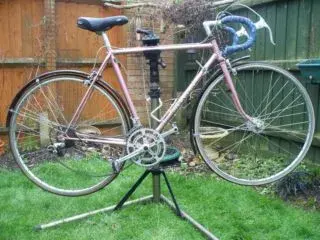 pink mercian.webp