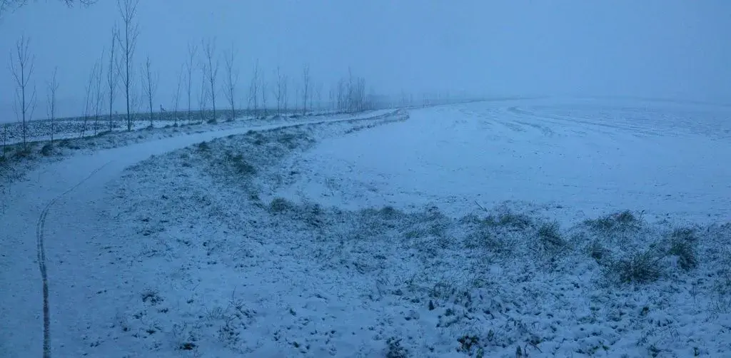 crazy commute [small].webp