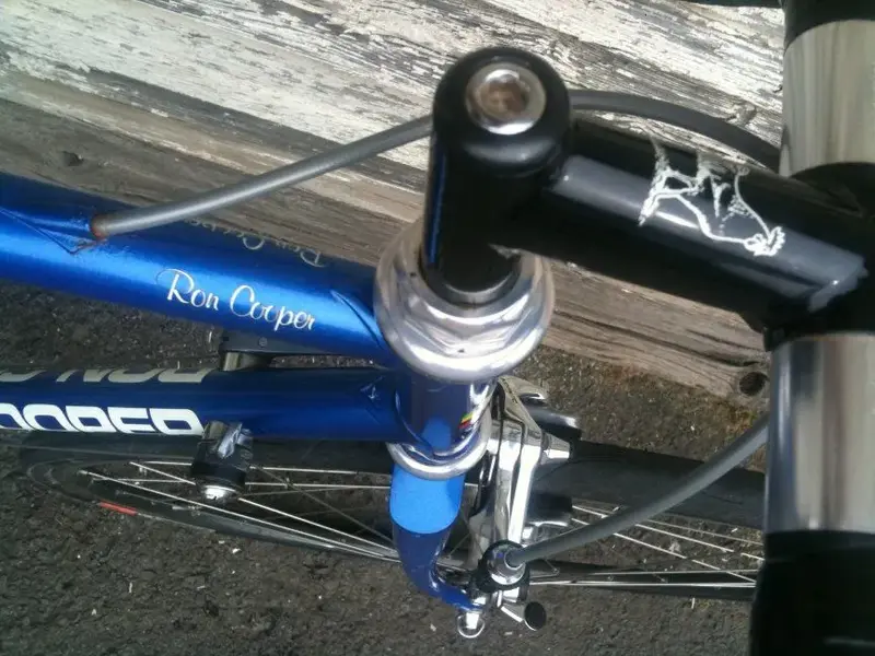 RC Stem.webp