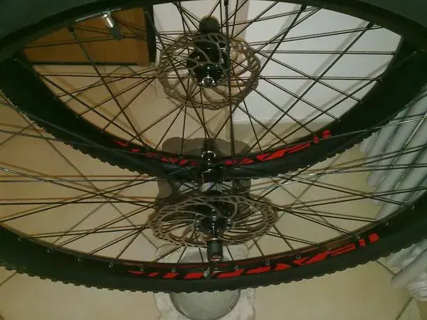 Roval 29er.webp