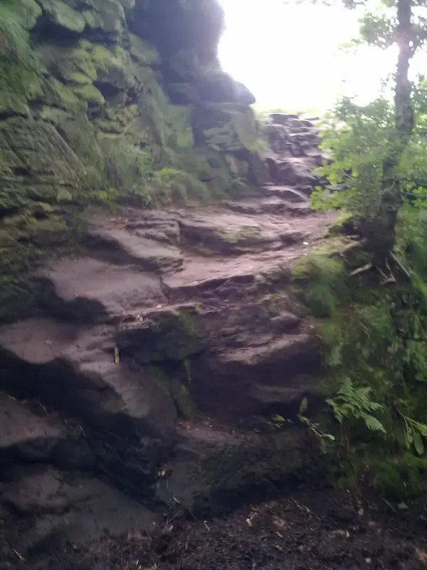04072012962sm.webp