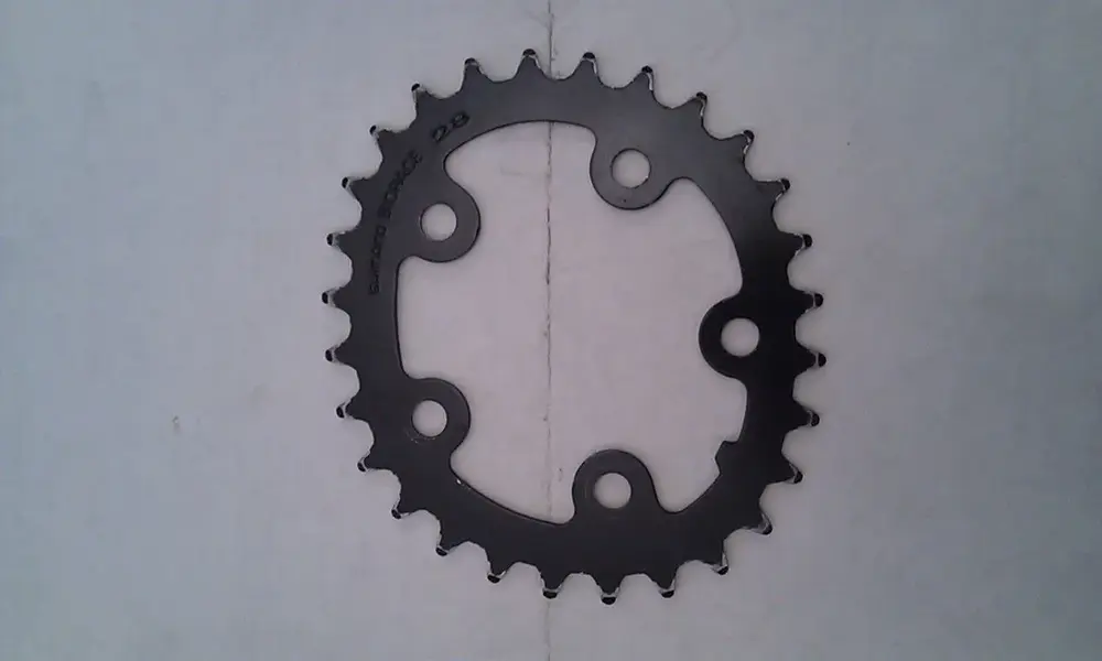 IMAG5357.webp