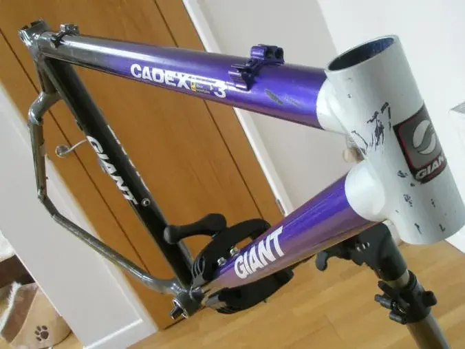 cadex3.webp