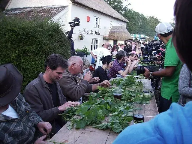 nettle eating 2012 020.webp