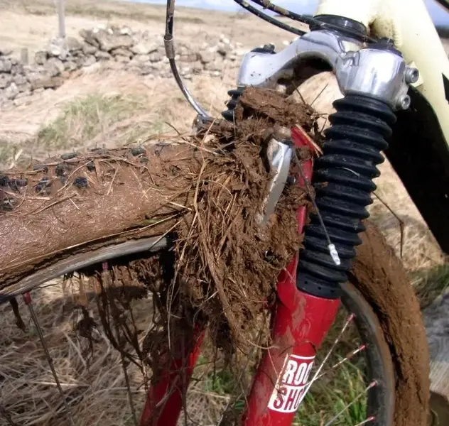 Very Muddy Fox.webp