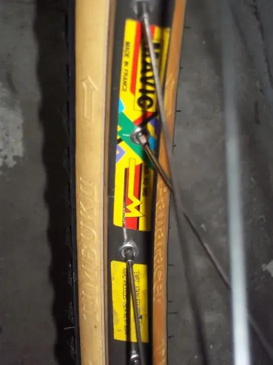 Mavic%20trying%20to%20keep%20up___.webp
