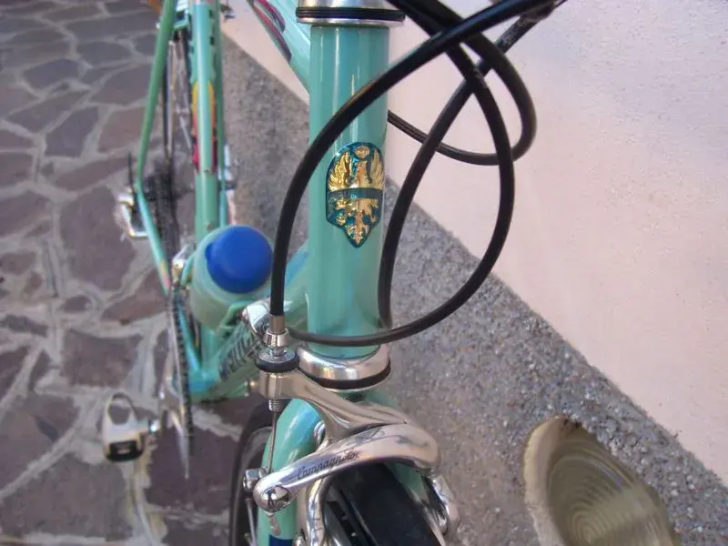 Bianchi9.webp