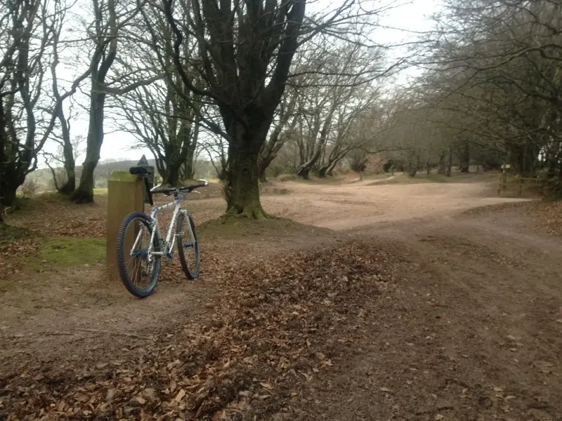 quantocks 23 2 13 (4).webp