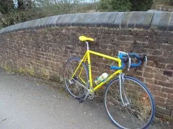 masi r2.webp
