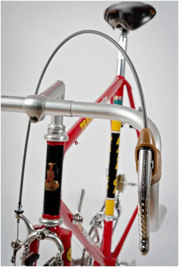 SBDU Raleigh Team Pro 753 (6).webp