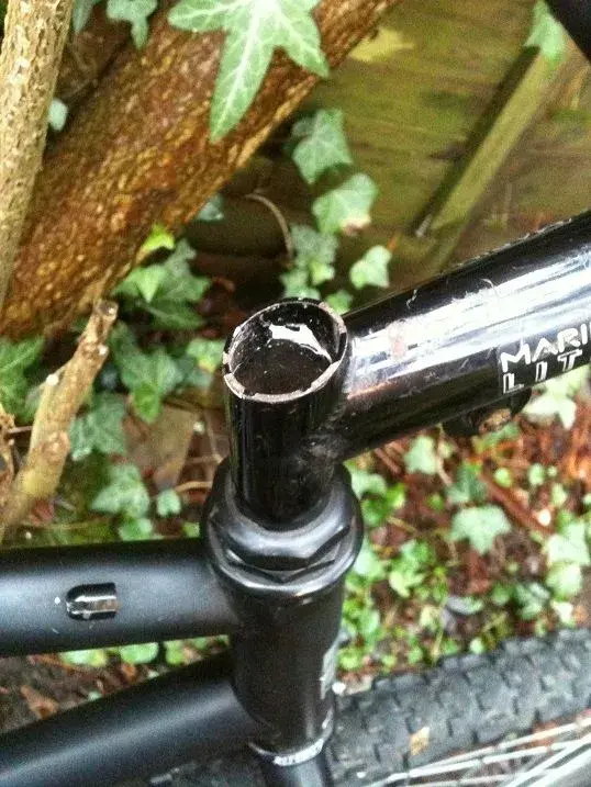 marin stem cap.webp