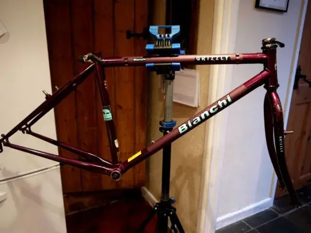 Bianchi Grizzly.webp