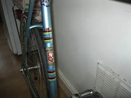 Holdsworth downtube resized.webp