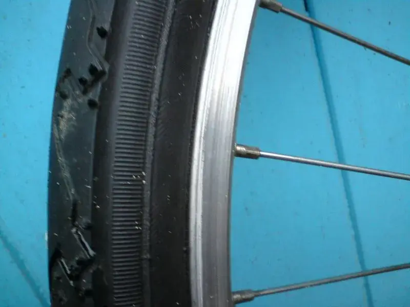 DSC00546.webp