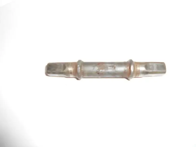 DSCN1248.webp