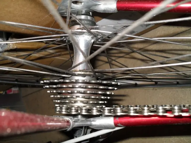 7 speed Alan#2.webp