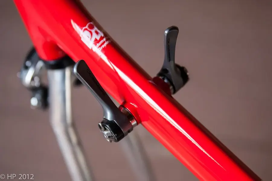 kestrel-3.webp