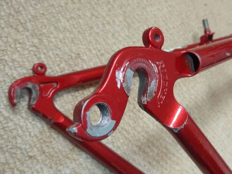 P1040301 (800x599).webp