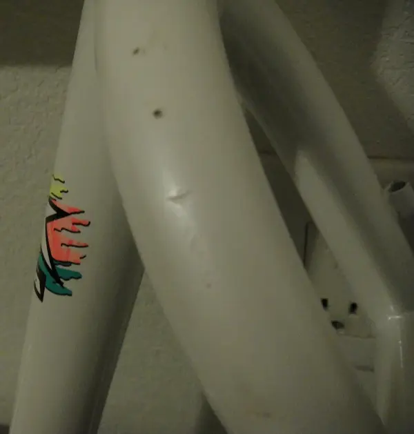 White Astars 8.webp