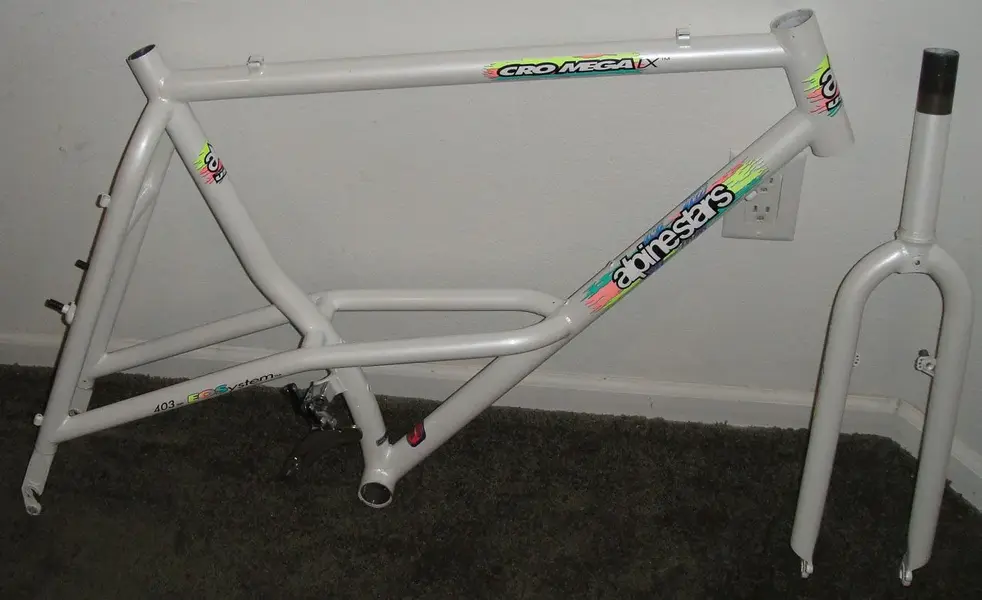 White Astars 2B.webp
