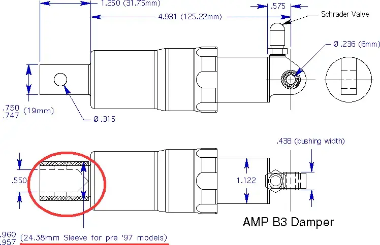 Risse AMP Shock.webp