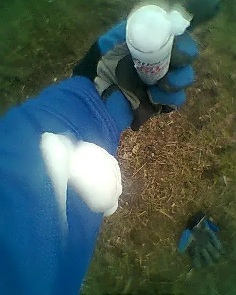 PitStop.webp