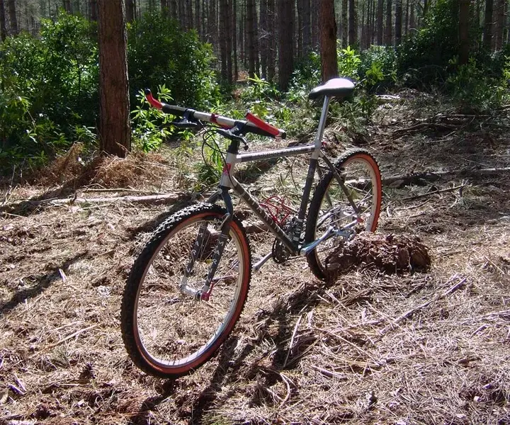 first_ride.webp