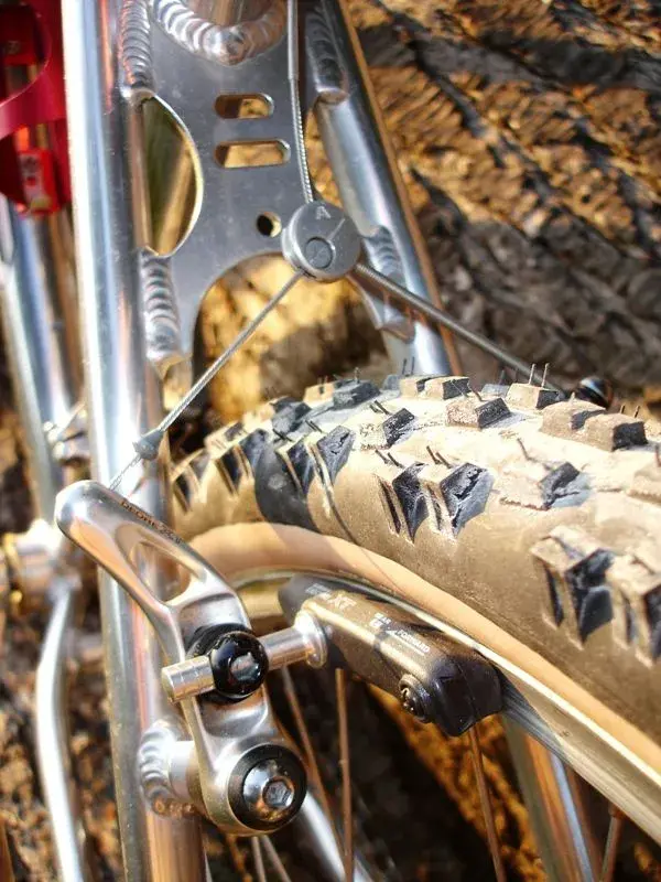 GT Zaskar LE 1994_rearfork_bridge.webp