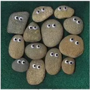 Pet Rocks.webp