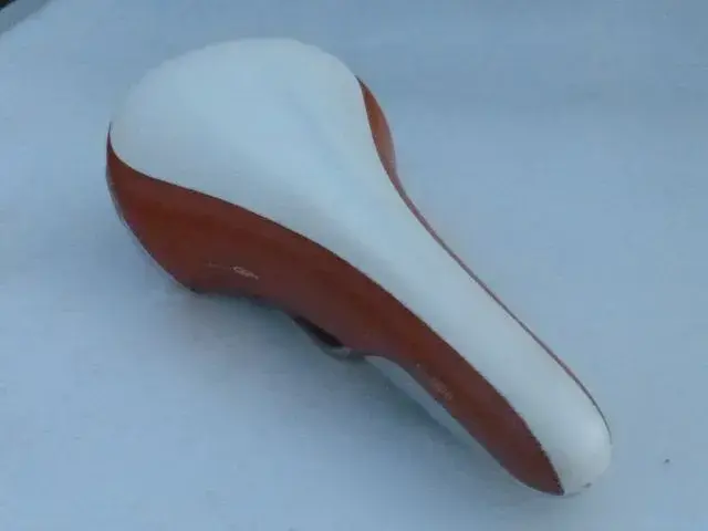 Fi,zik Poggio Titanium Saddle 002.webp
