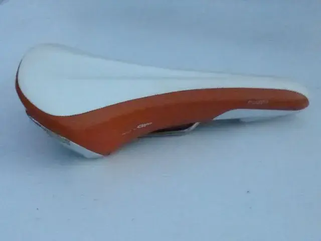 Fi,zik Poggio Titanium Saddle 001.webp