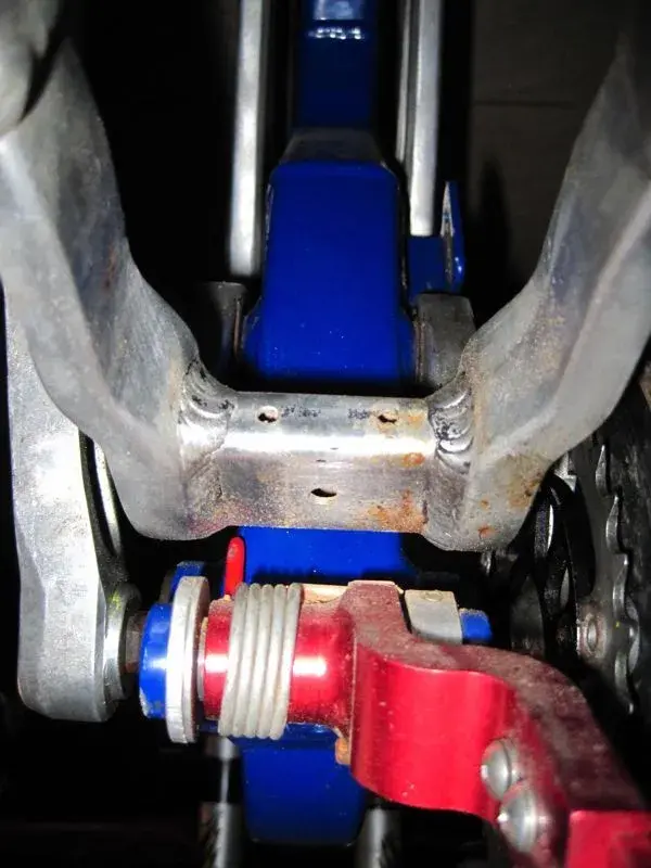 rear.webp