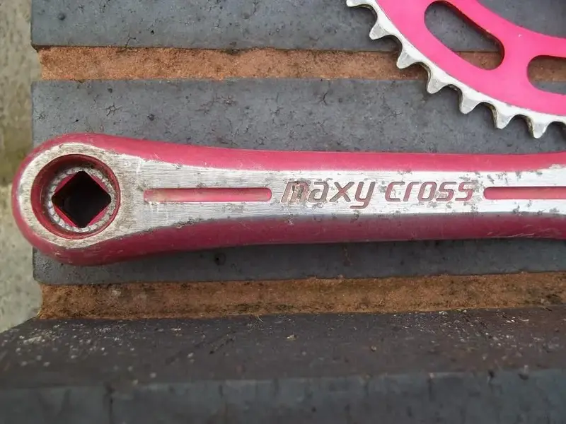 Maxy Cross 4.webp