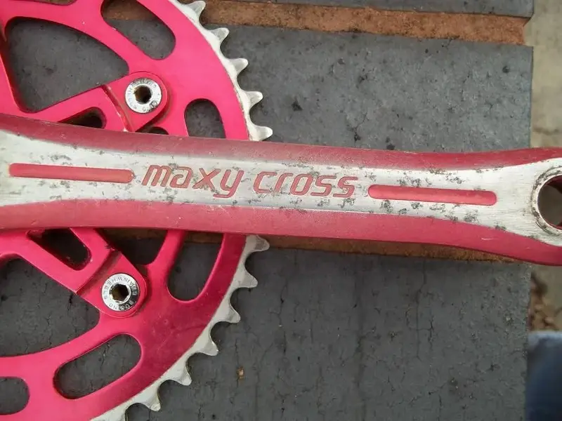 Maxy Cross 2.webp