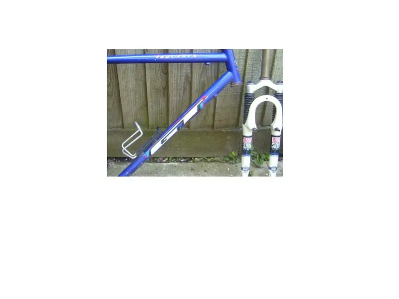 frame 2.webp