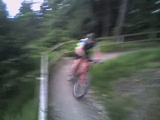 Photo-0275.webp