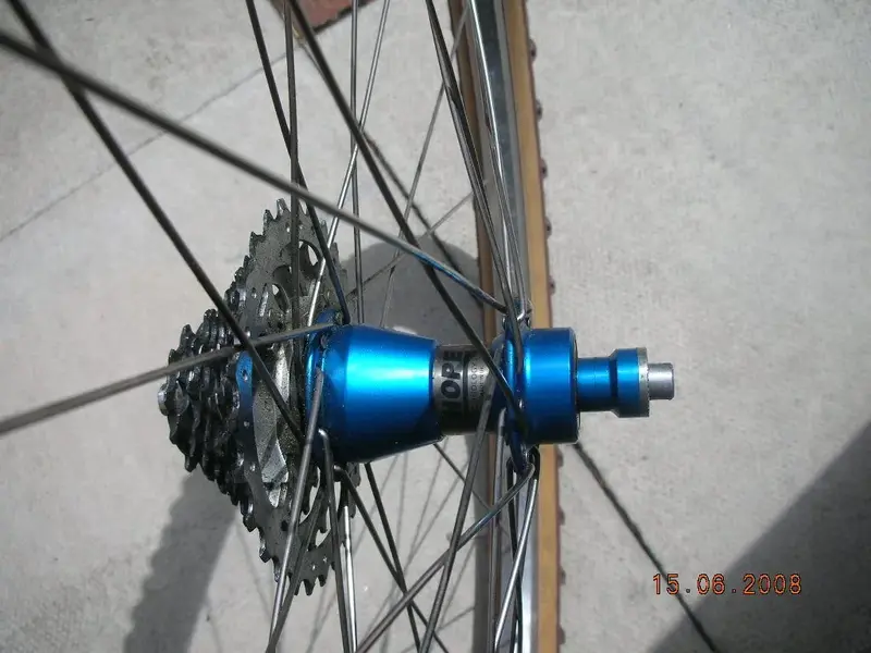 DSCN4365.webp
