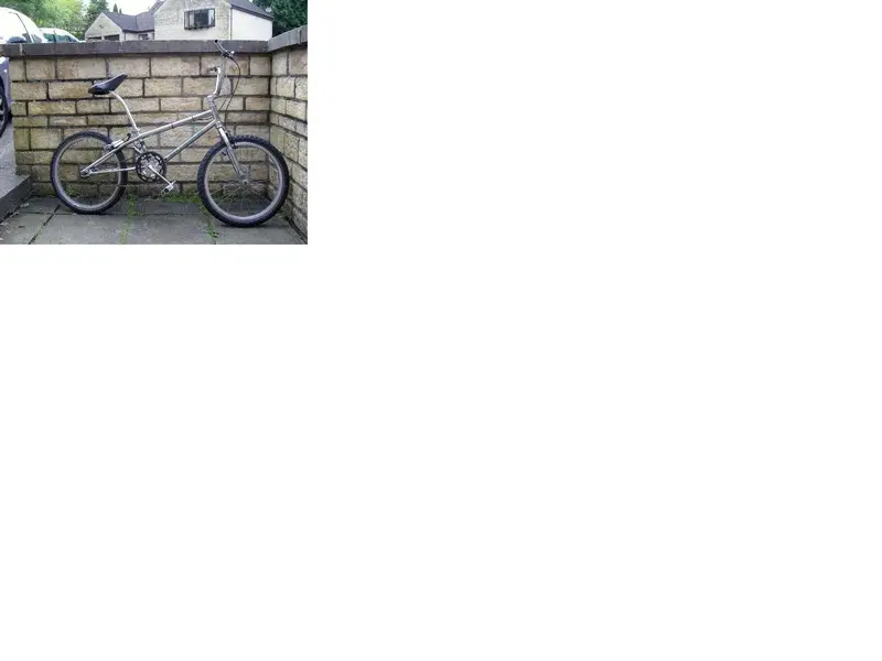 curtis 10.webp