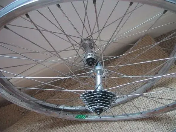 wheels1.webp