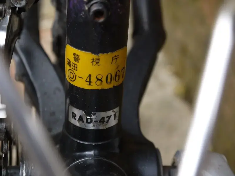 miyata 10.webp