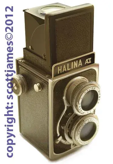 halina_illus_fin.webp