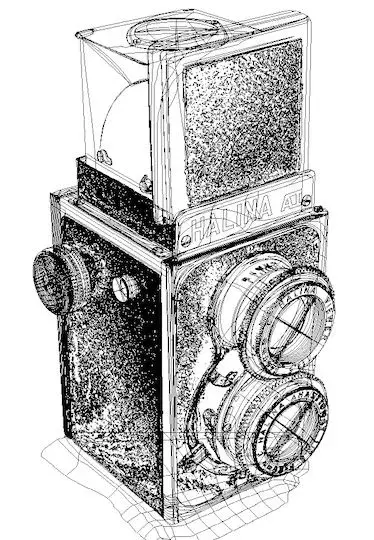 halina_line_illus.webp