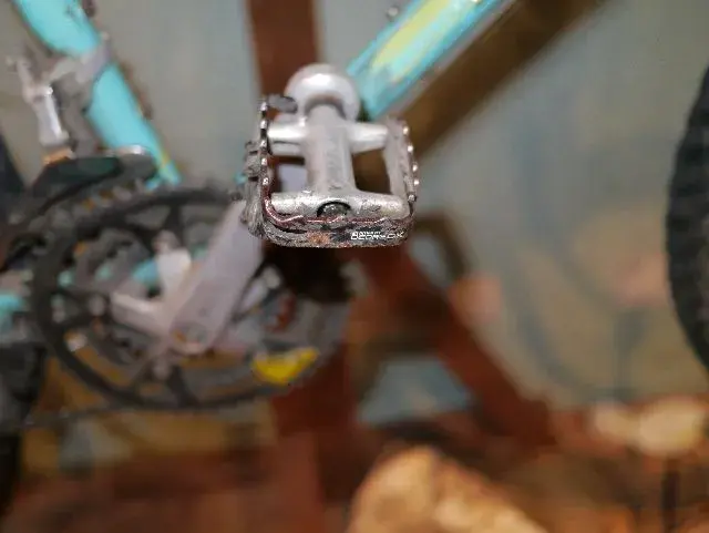 sar pedal.webp
